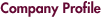 Company Profile